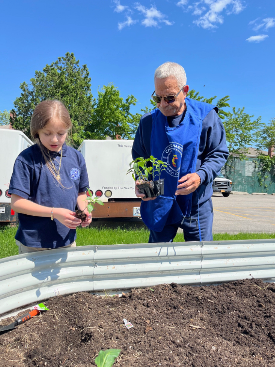 Garden Cleanup 6 Garden Cleanup 6