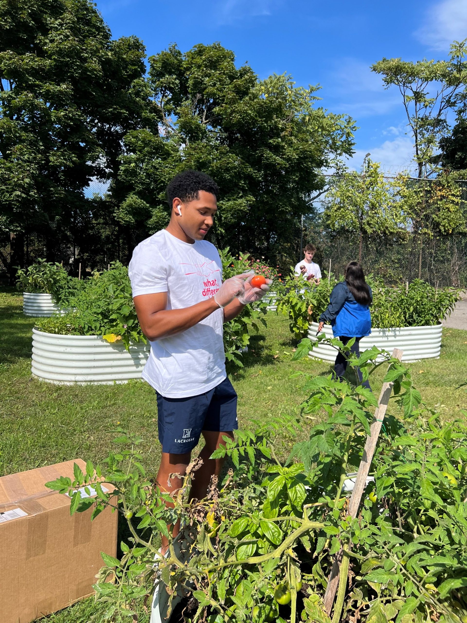 Garden Cleanup 2 Garden Cleanup 2